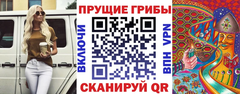 OMG tor магазин Сурск Псилоцибиновые грибы Cubensis