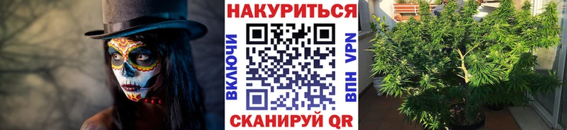 купить наркотики цена  Сурск  mega ТОР  Бошки Шишки индика 